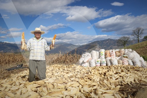 Crédito Agropecuario
